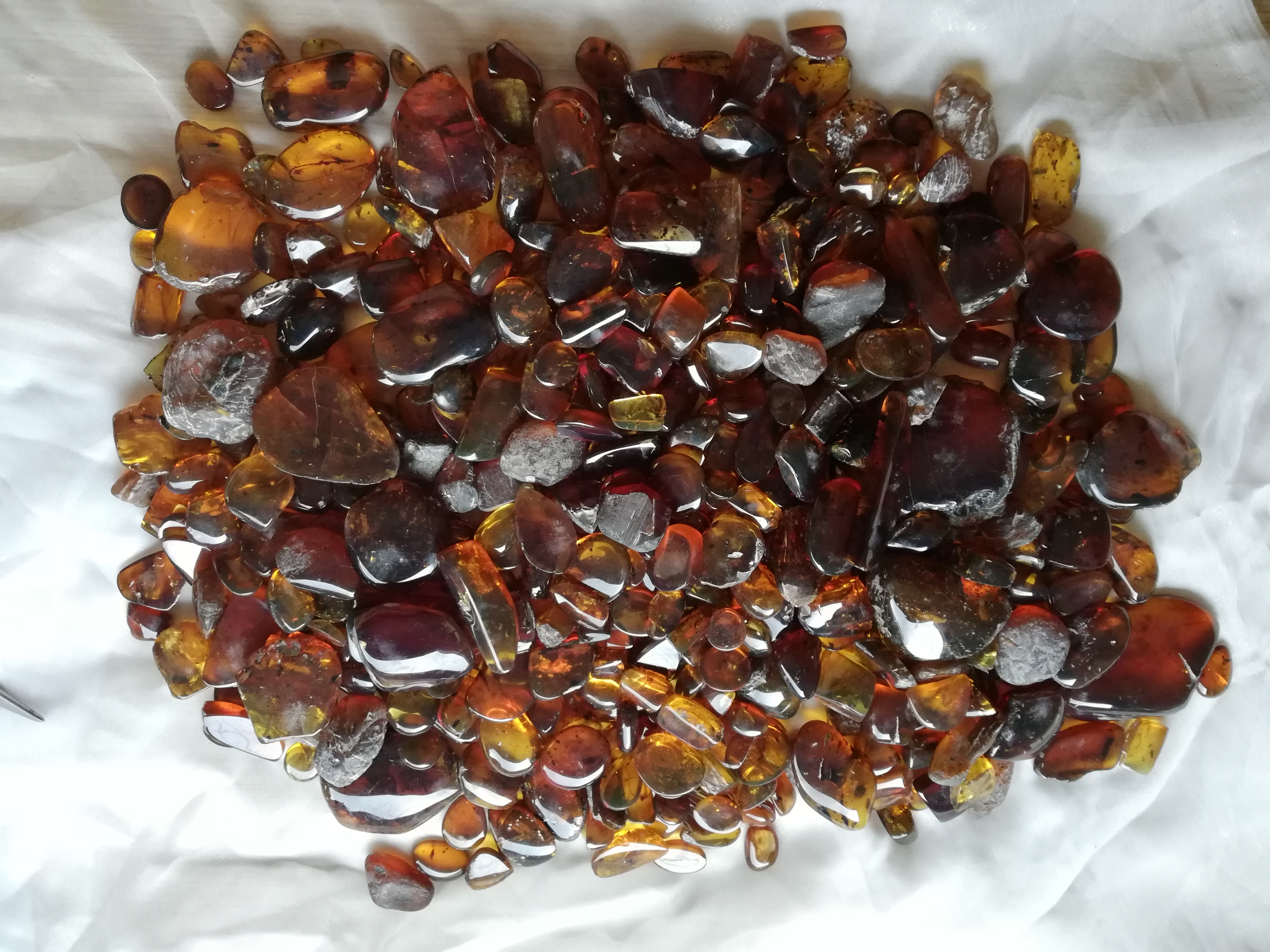 Jantary pro sběratele a objevování