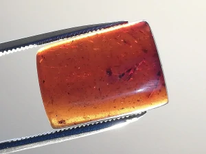 Druhohorní jantar z Myanmaru BJ-28