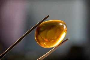 Druhohorní jantar z Myanmaru JHI-4
