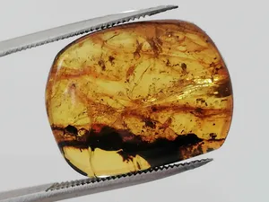 Druhohorní jantar z Myanmaru BJ-3