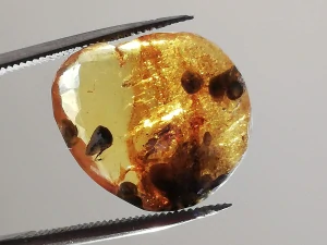Druhohorní jantar z Myanmaru BJ-11