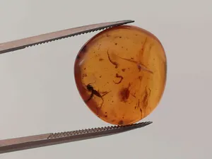 Křídový jantar B-112