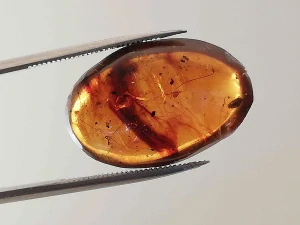 Druhohorní jantar z Myanmaru BJ-13