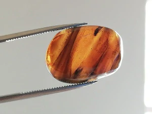 Druhohorní jantar z Myanmaru BJ-17