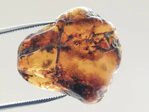 Okno do křídového jantaru BO-7