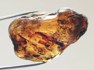 Okno do křídového jantaru BO-20