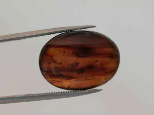 Křídový jantar B-14