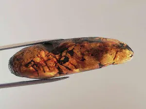 Okno do křídového jantaru BO-26