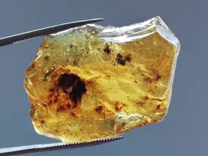 Baltský jantar P-1