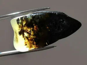 Baltský jantar P-6