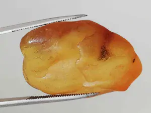 Baltský jantar P-10