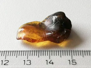 Baltský jantar P-11