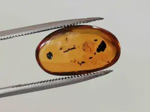 Druhohorní jantar z Myanmaru JKI-16