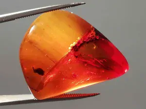 Křídový jantar B-22