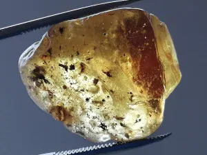 Okno do baltského jantaru PO-45