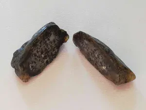 Okno do baltského jantaru PO-52
