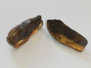 Okno do baltského jantaru PO-58