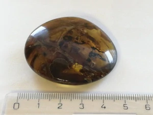 Druhohorní jantar z Myanmaru BJ-34