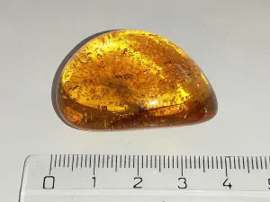 Křídový jantar B-133