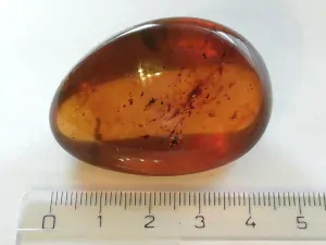 Křídový jantar B-137