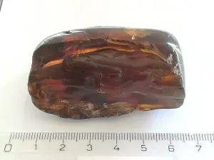 Křídový jantar B-142