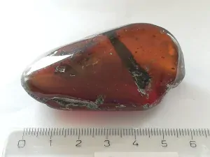 Křídový jantar B-146