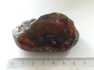 Křídový jantar B-147