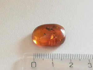 Křídový jantar B-148