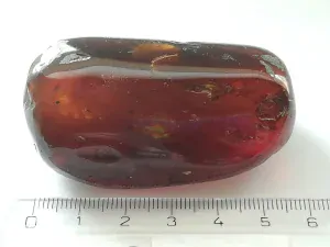 Křídový jantar B-151
