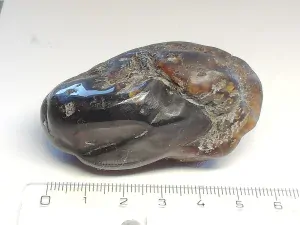 Křídový jantar B-152
