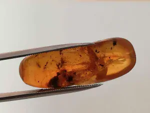 Křídový jantar B-32