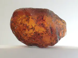  Křídový jantar B-159