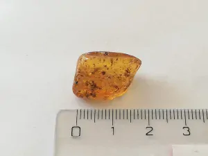 Baltský jantar P-13