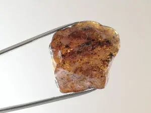Okno do baltského jantaru PO-67
