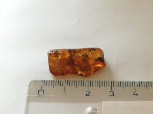 Baltský jantar P-14