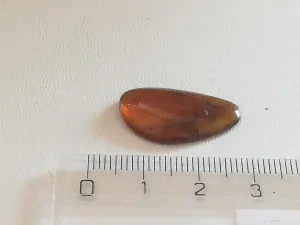 Druhohorní jantar z Myanmaru BJ-37
