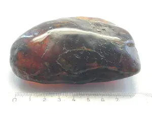 Křídový jantar B-190