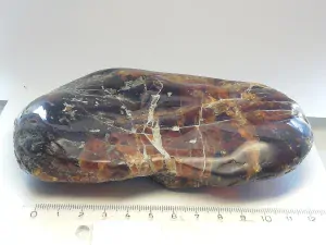 Křídový jantar B-193