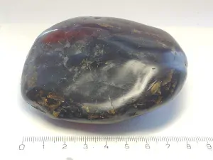 Křídový jantar B-195