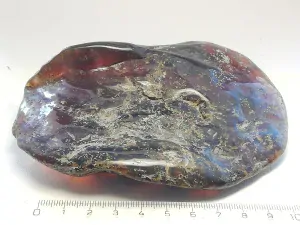 Křídový jantar B-196