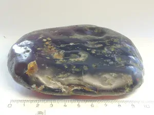 Křídový jantar B-198