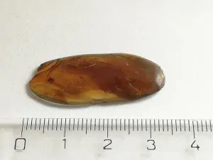 Křídový jantar B-201