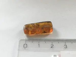 Křídový jantar B-203