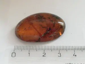 Křídový jantar B-204
