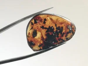 Křídový jantar B-205