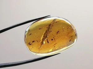 Křídový jantar B-207