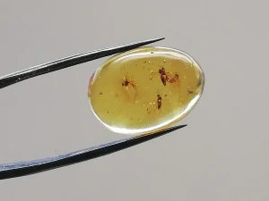 Křídový jantar B-210