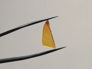 Křídový jantar B-211