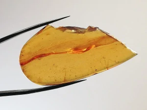 Křídový jantar B-213