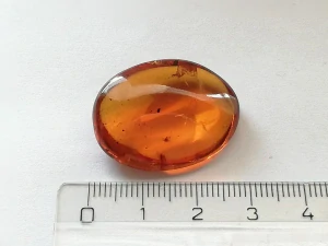 Křídový jantar B-218